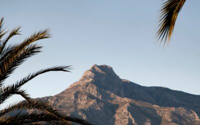 Transfer desde Málaga a Marbella